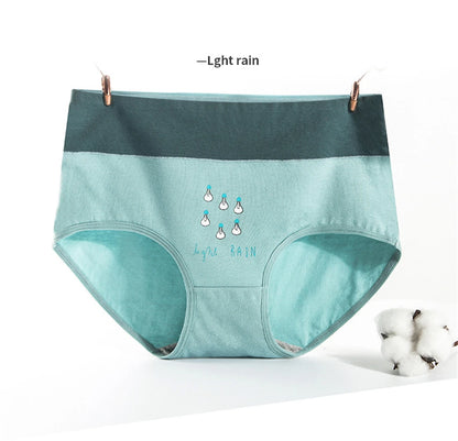 Culotte Coton Imprimée Taille Mi-Haute — M-XXL