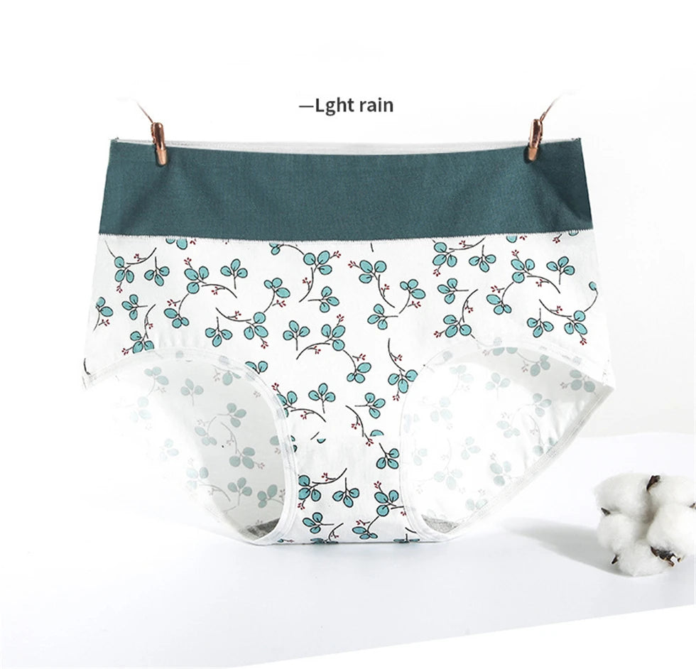Culotte Coton Imprimée Taille Mi-Haute — M-XXL