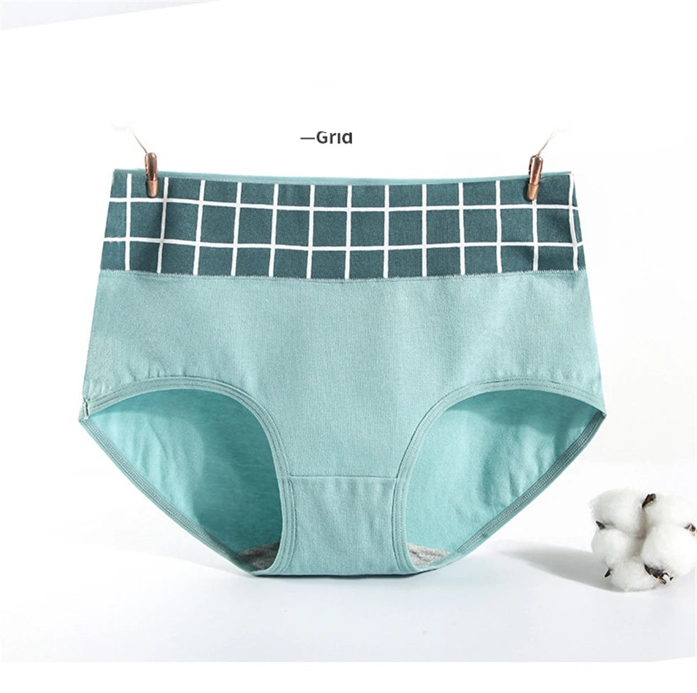 Culotte Coton Imprimée Taille Mi-Haute — M-XXL