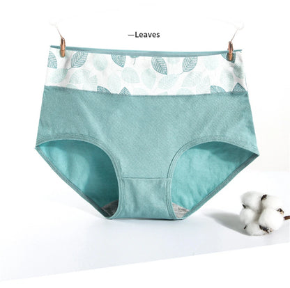 Culotte Coton Imprimée Taille Mi-Haute — M-XXL