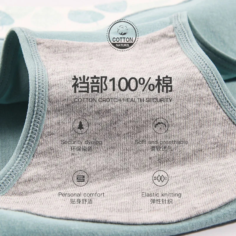 Culotte Coton Imprimée Taille Mi-Haute — M-XXL