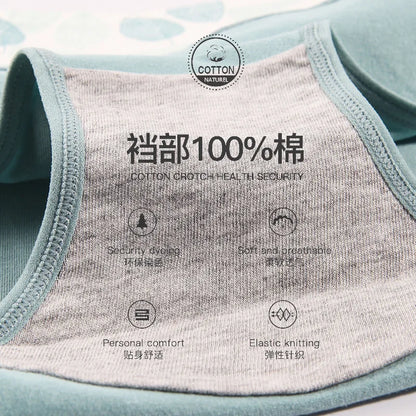 Culotte Coton Imprimée Taille Mi-Haute — M-XXL