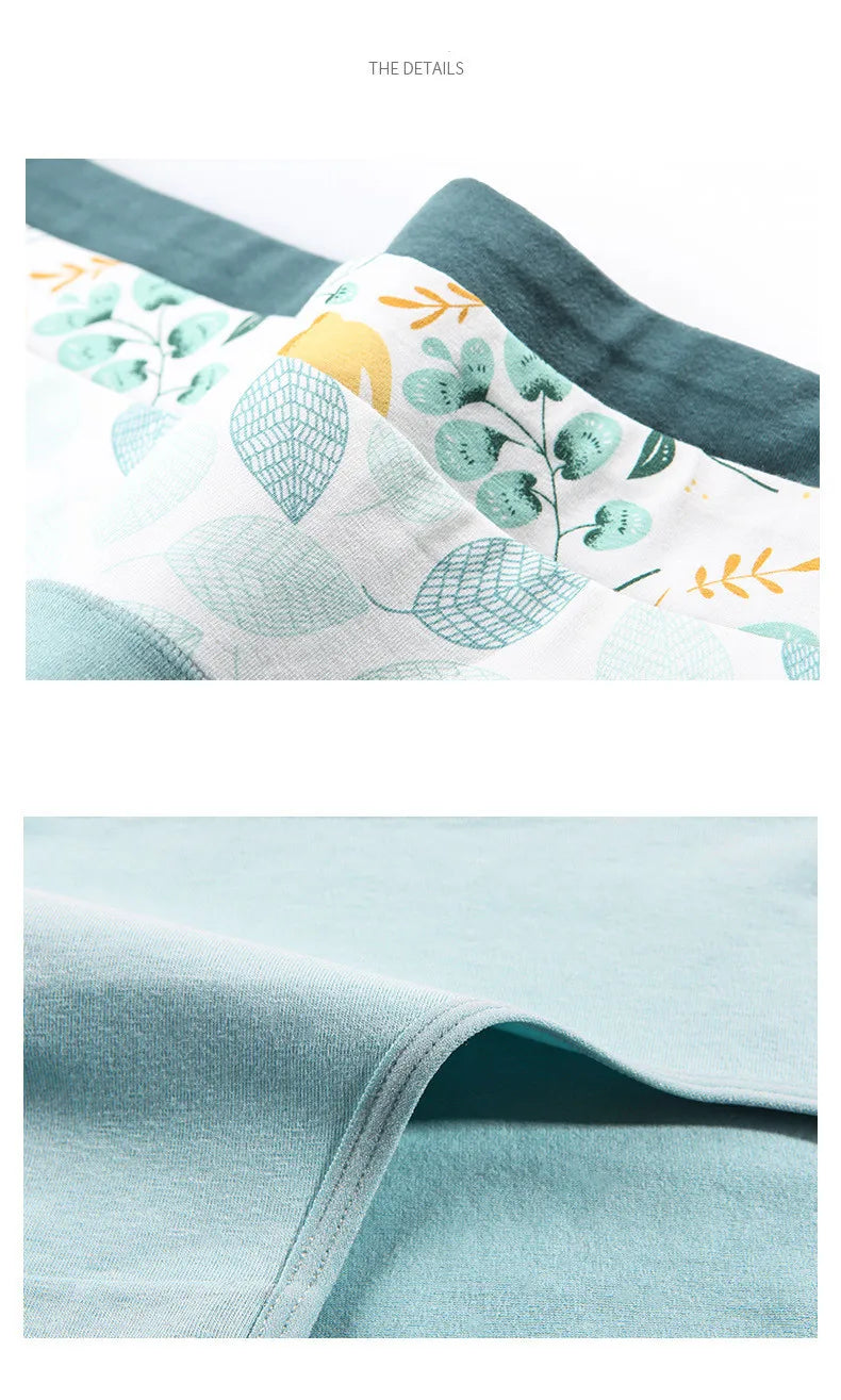 Culotte Coton Imprimée Taille Mi-Haute — M-XXL