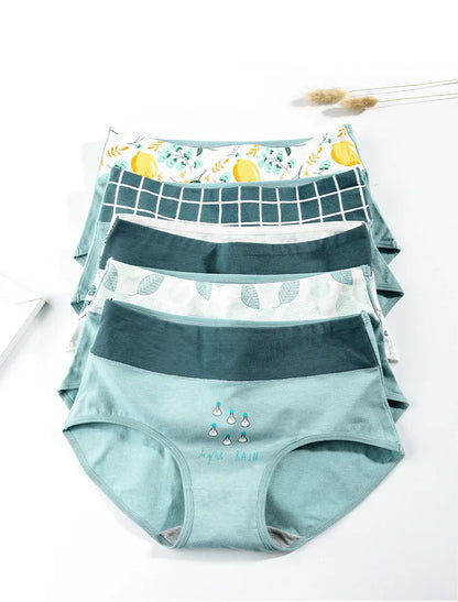 Culotte Coton Imprimée Taille Mi-Haute — M-XXL