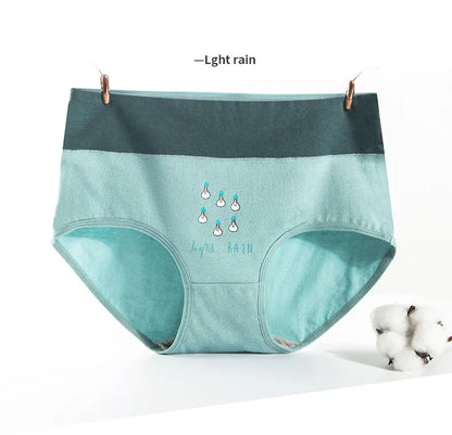 Culotte Coton Imprimée Taille Mi-Haute — M-XXL