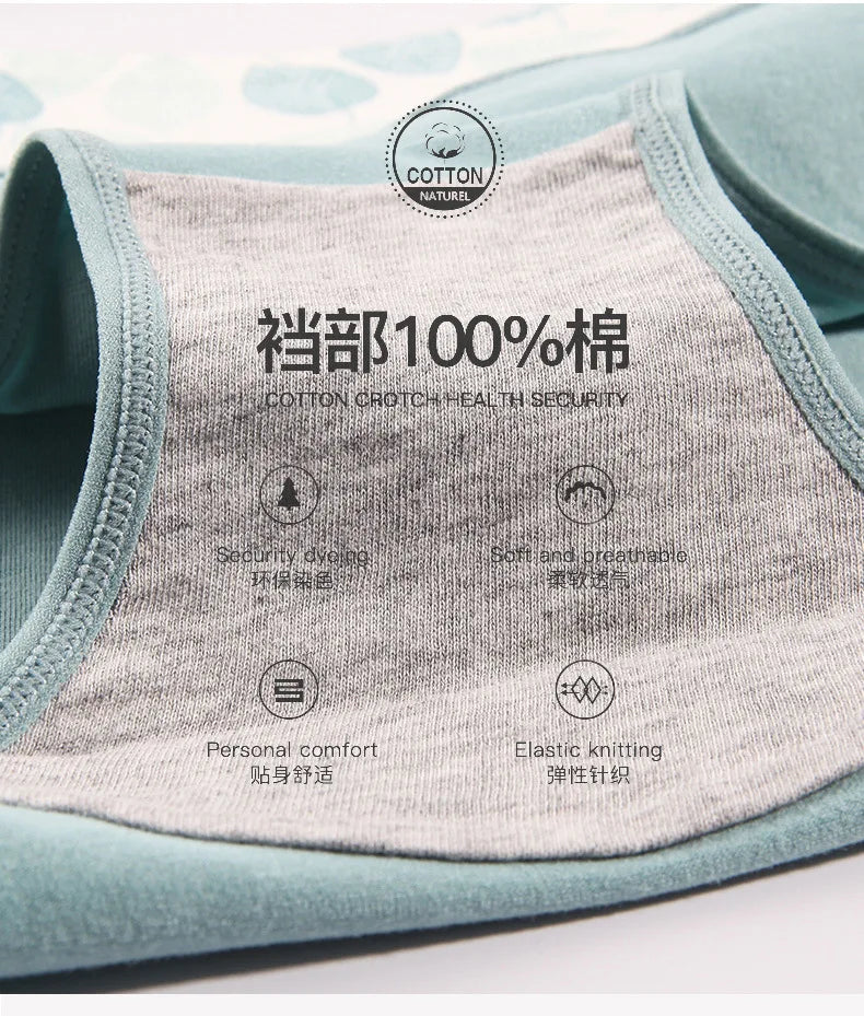 Culotte Coton Imprimée Taille Mi-Haute — M-XXL