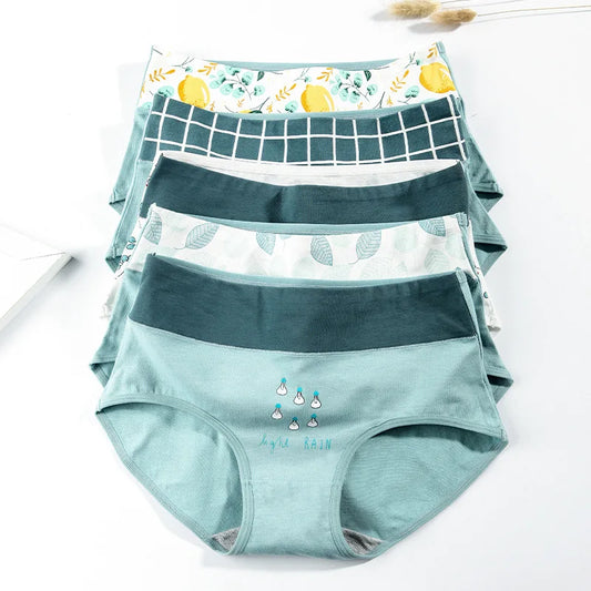 Culotte Coton Imprimée Taille Mi-Haute — M-XXL