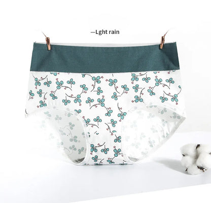 Culotte Coton Imprimée Taille Mi-Haute — M-XXL