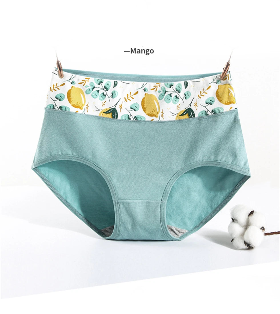 Culotte Coton Imprimée Taille Mi-Haute — M-XXL