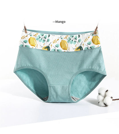Culotte Coton Imprimée Taille Mi-Haute — M-XXL