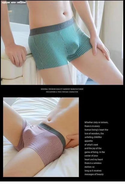 1Pc Boxer Shorts Men's Underwear Sexy Panties Cotton Striped Men's Underpants Male Boxers Homme U Convex Lingerie Free Shipping