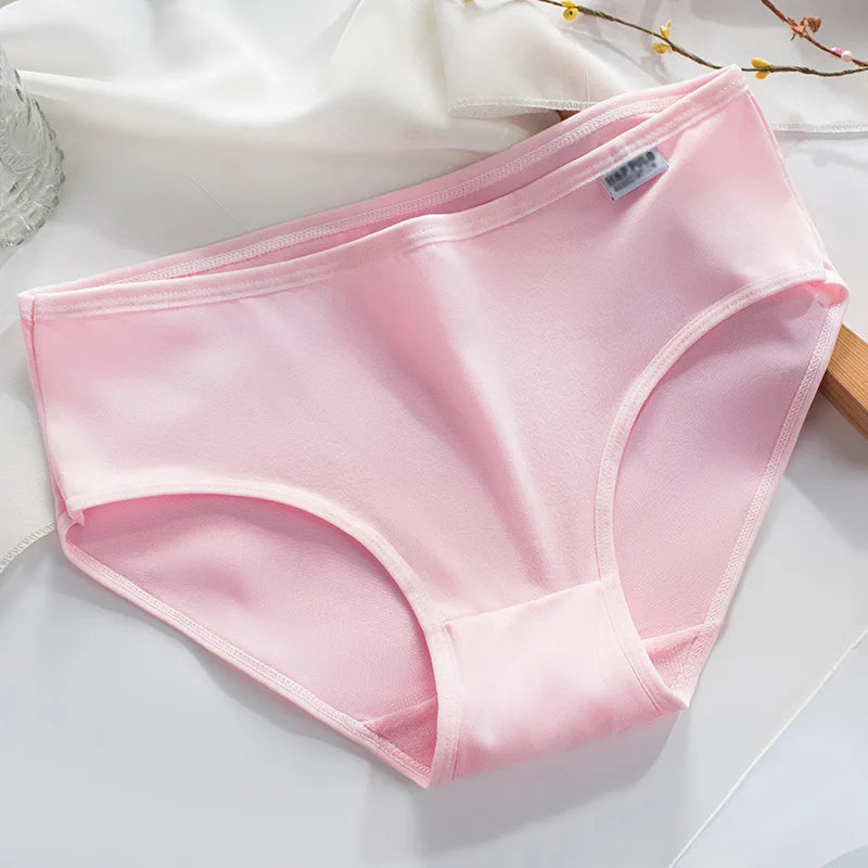 Culotte coton couleur bonbon — S-XL