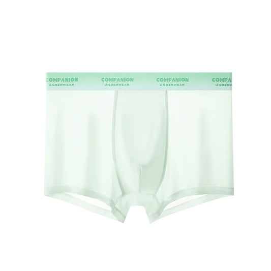 Men's Translucent Seamless Breathable Thin Boxers Bikini Briefs Ultra-Thin U Convex Pouch Lingerie Underwear