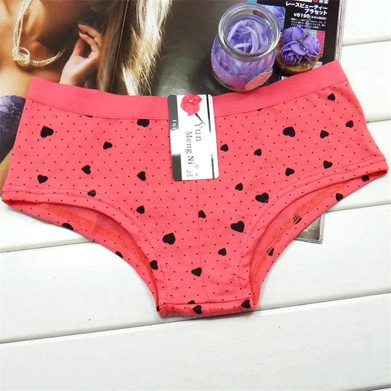 Culotte coton femme taille basse best-seller S-XL
