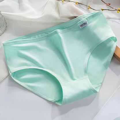 Culotte coton couleur bonbon — S-XL