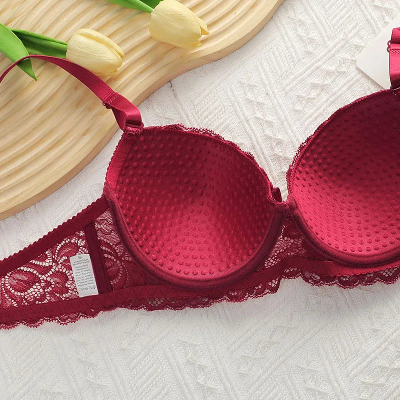 Bra and Panty Set Women's Lace Underwear Sexy Lingerie Set Women's Sexy Hot Lingerie Sets for Women Sexy Female Girl