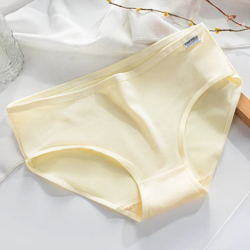 Culotte coton couleur bonbon — S-XL