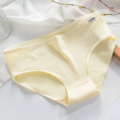 Culotte coton couleur bonbon — S-XL