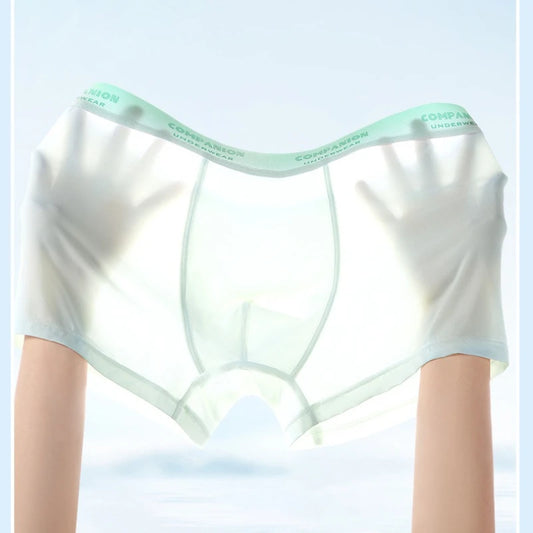 Men's Translucent Seamless Breathable Thin Boxers Bikini Briefs Ultra-Thin U Convex Pouch Lingerie Underwear