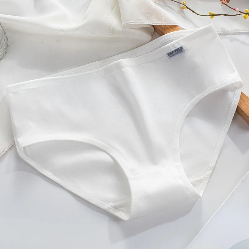 Culotte coton couleur bonbon — S-XL